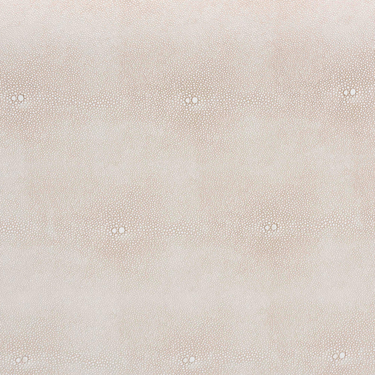 Modern European furniture - Beige Shagreen Look Storage Trunk - www.oroa.com