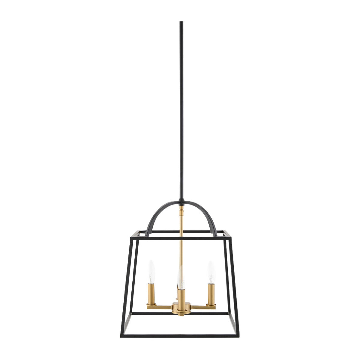 Modern European furniture - Black Iron Framed 4-Light Chandelier - www.oroa.com