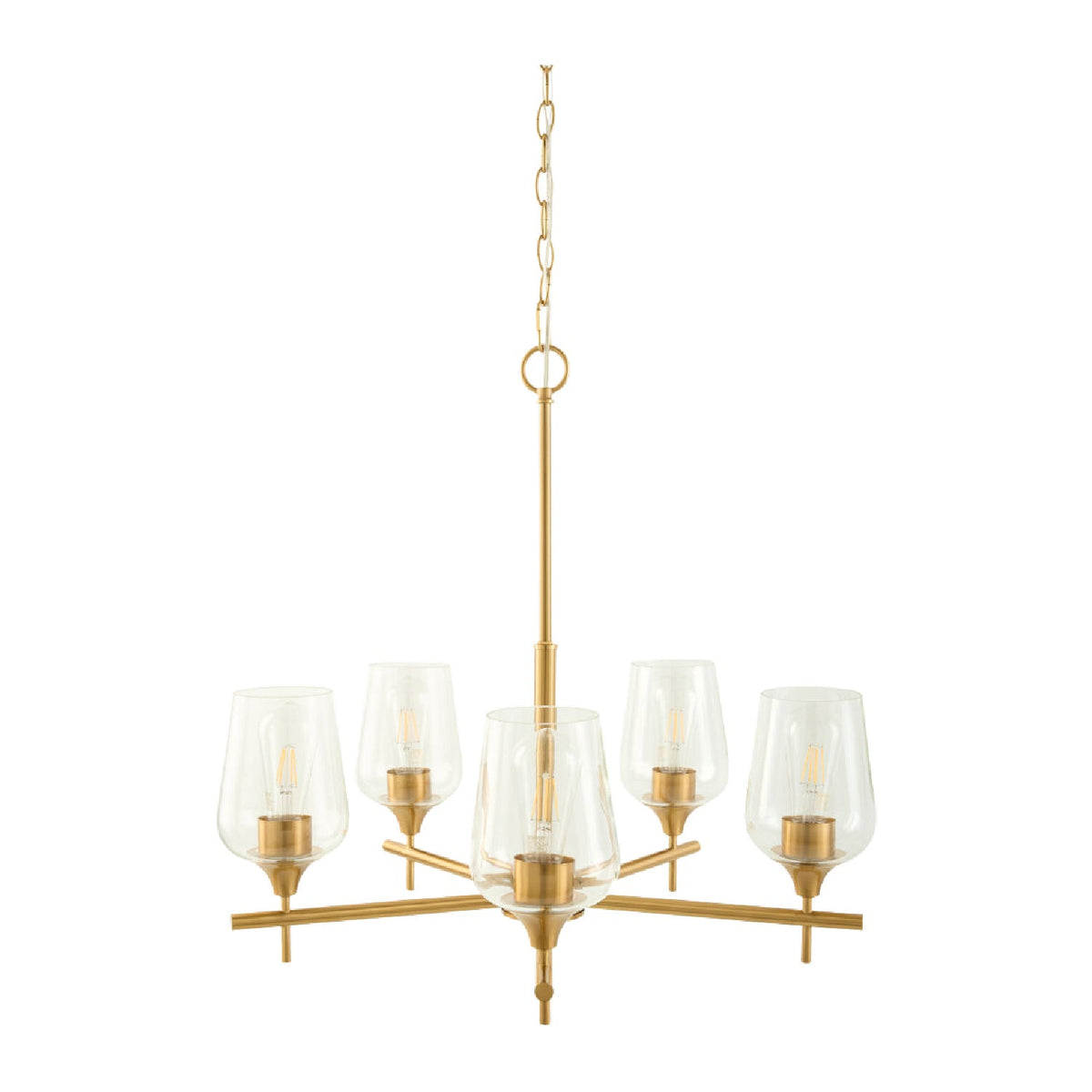 Modern European furniture - 5-Light Glass Chandelier - www.oroa.com