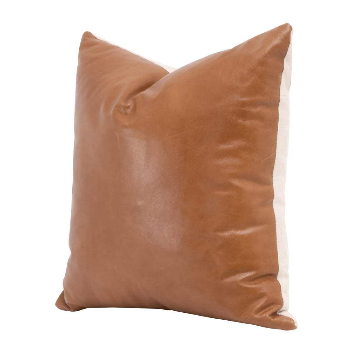 Modern European furniture - Brown Leather Pillows (2) - www.oroa.com