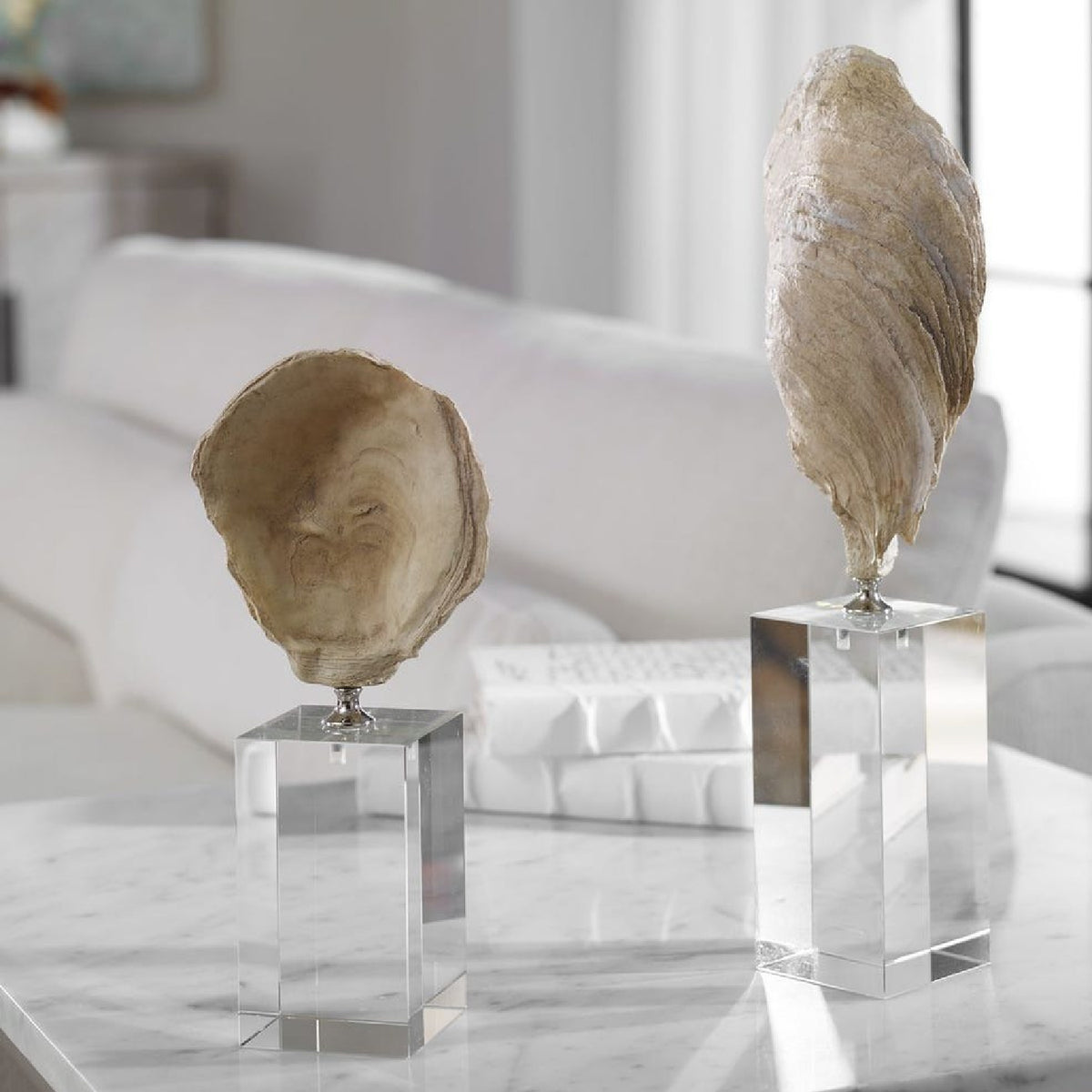 Aged Ivory Sculptures (3) | Uttermost Oyster Shell - www.oroa.com