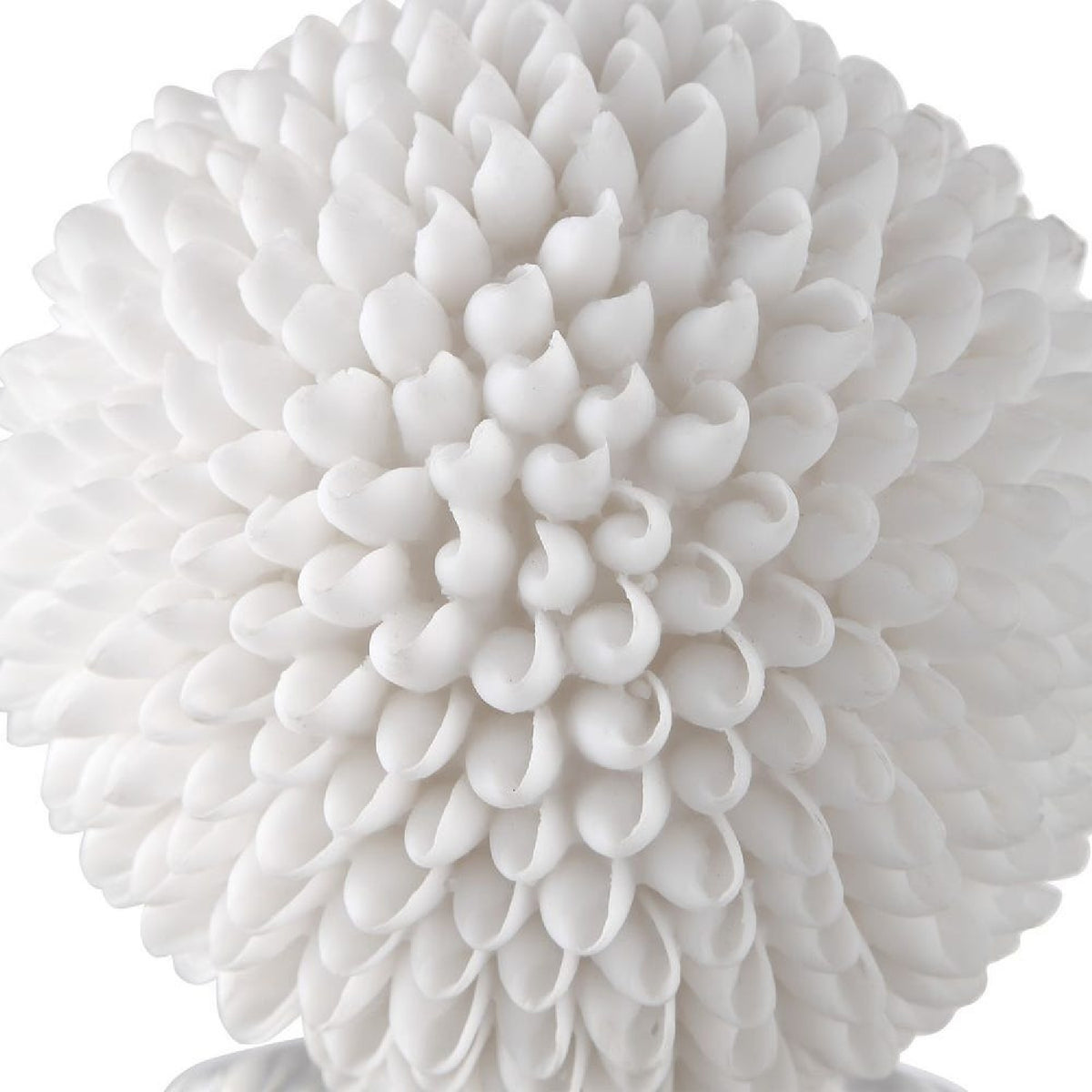 White Seashell Look Sculpture | Uttermost Cascara - www.oroa.com