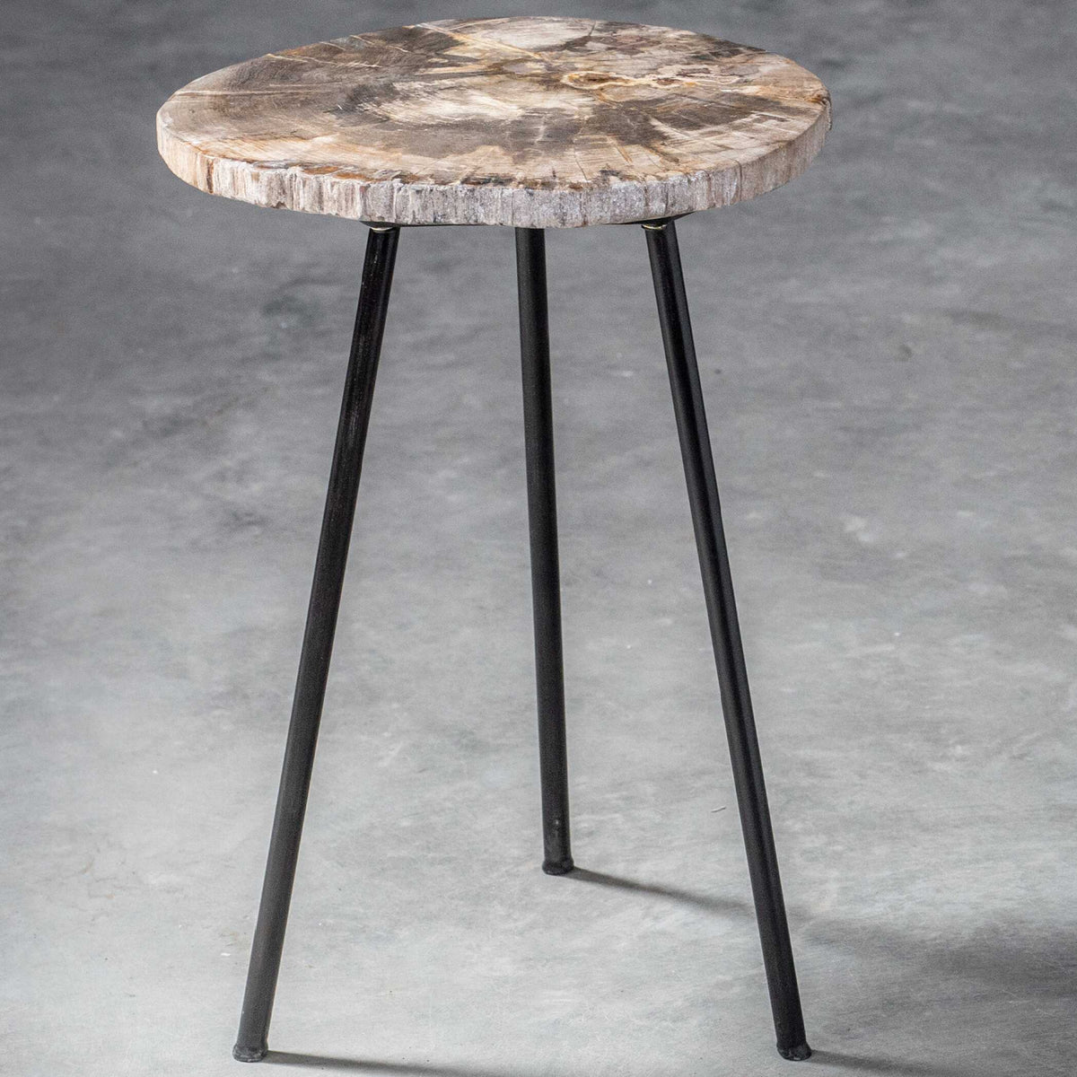 Petrified Wood Accent Table by Uttermost Mircea, alternate view 4