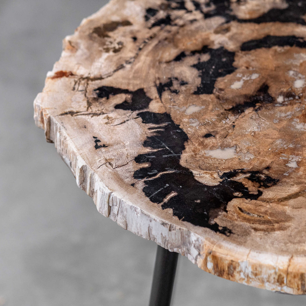 Petrified Wood Accent Table by Uttermost Mircea, alternate view 8