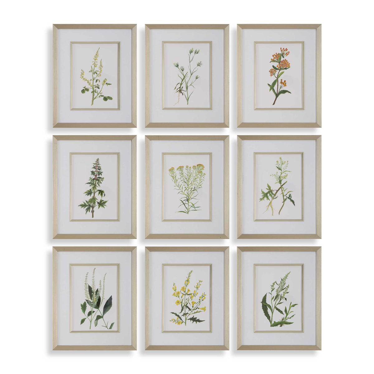 Modern European furniture - Contemporary Floral Art Prints (9) - www.oroa.com