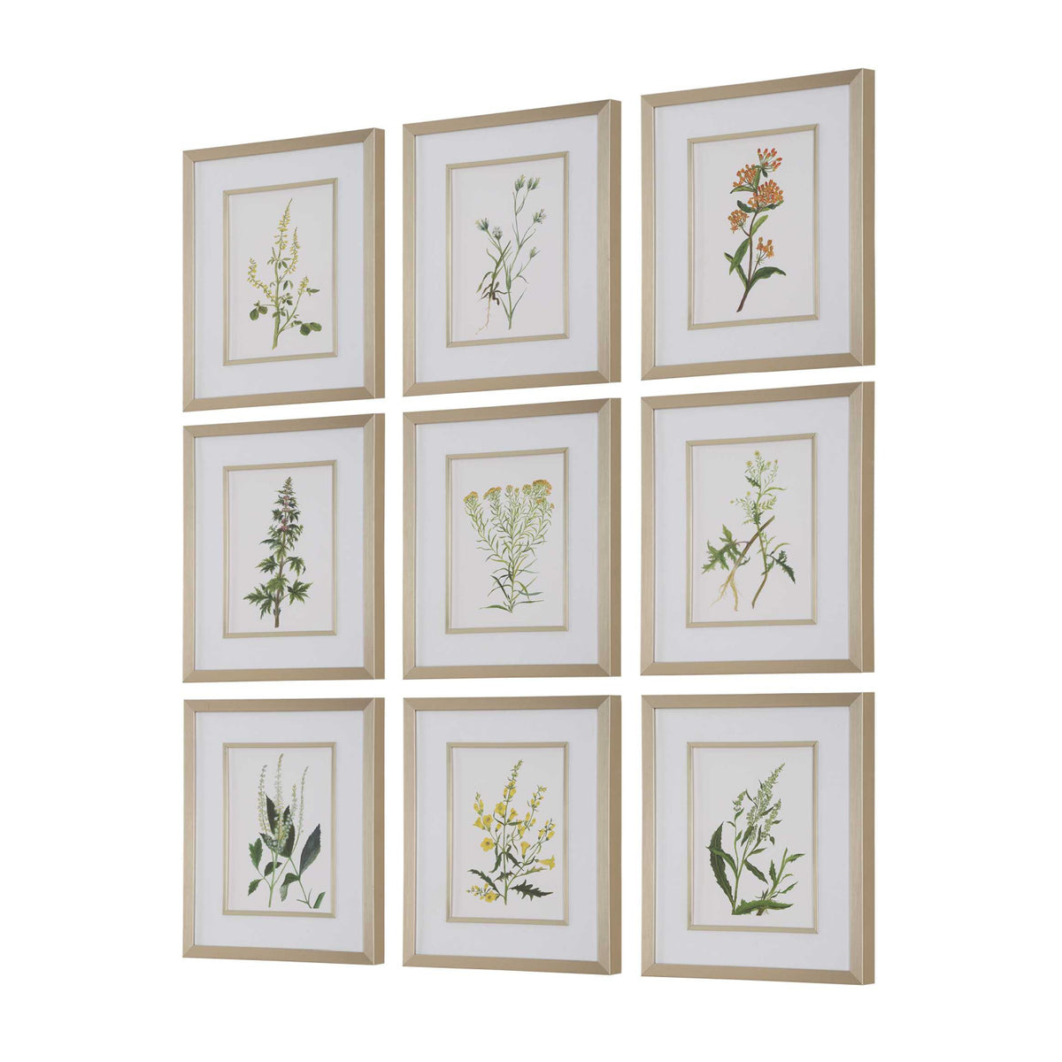 Modern European furniture - Contemporary Floral Art Prints (9) - www.oroa.com