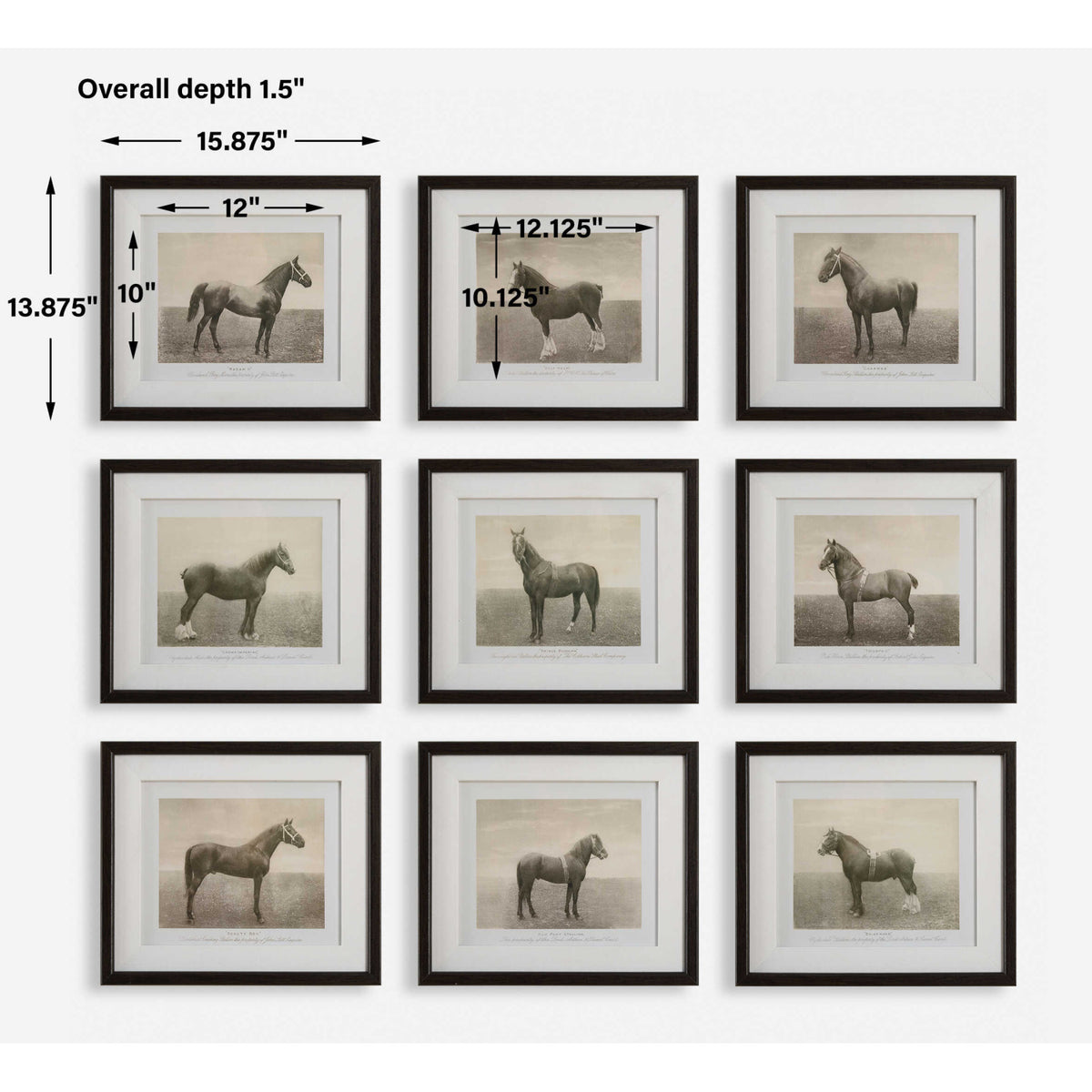 Horse Sketch Art Prints (9) | Uttermost Equine Dynasty