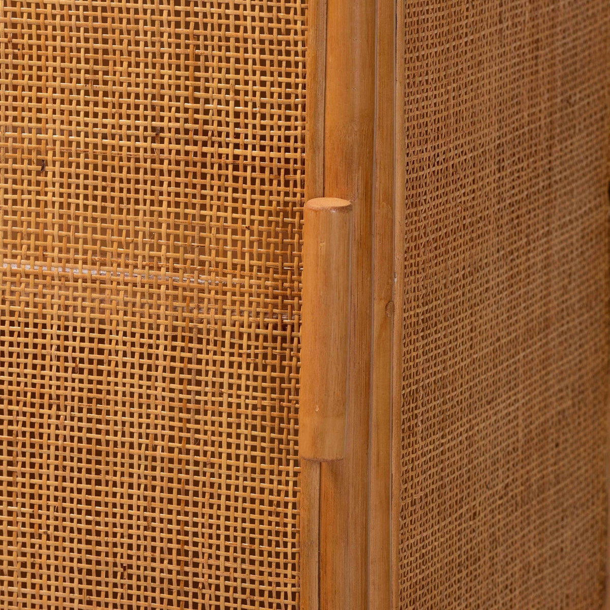 Modern European furniture - Arched Rattan Accent Cabinet - www.oroa.com