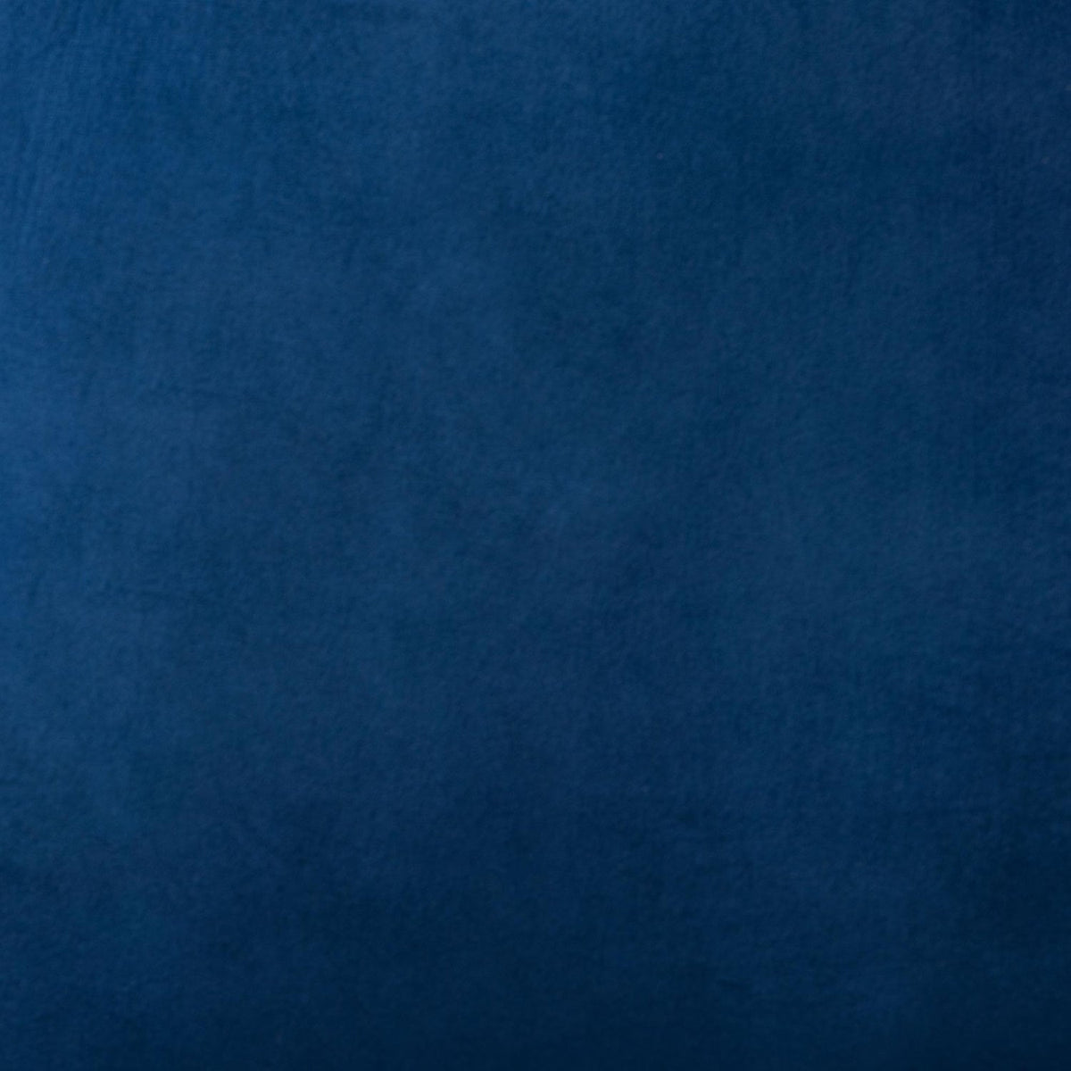 Modern European furniture - Blue Fabric Accent Chair - www.oroa.com