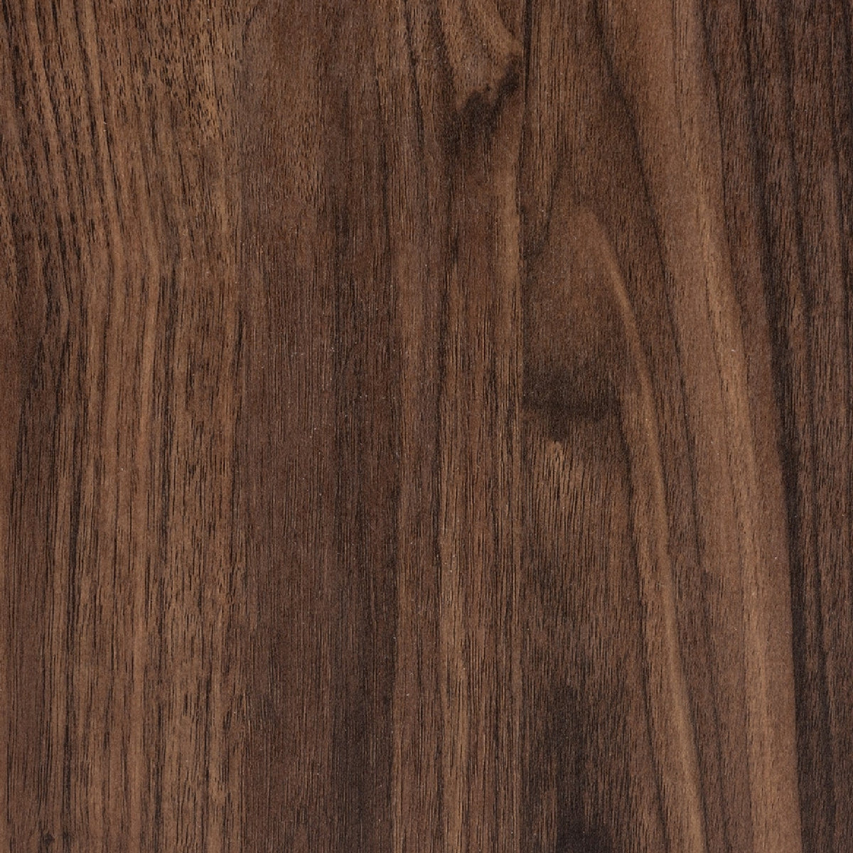 Modern European furniture - Brown Wooden 2 Door Cabinet - www.oroa.com