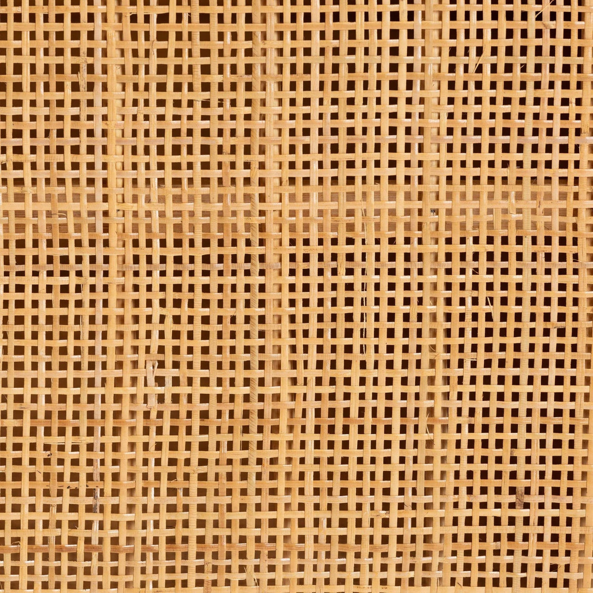 Modern European furniture - Natural Rattan 2 Door Sideboard - www.oroa.com