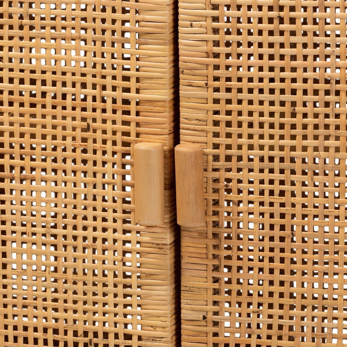 Modern European furniture - Mahogany Framed Rattan Cabinet - www.oroa.com