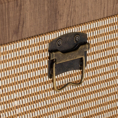Modern European furniture - Woven Exterior Storage Trunk - www.oroa.com