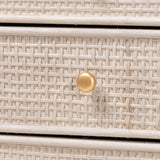 Modern European furniture - Gray Rattan 3-Drawer Cabinet - www.oroa.com
