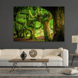 Gorbeia Forest Mossy Trees photographic art print by Cobra Art, alternate view 2