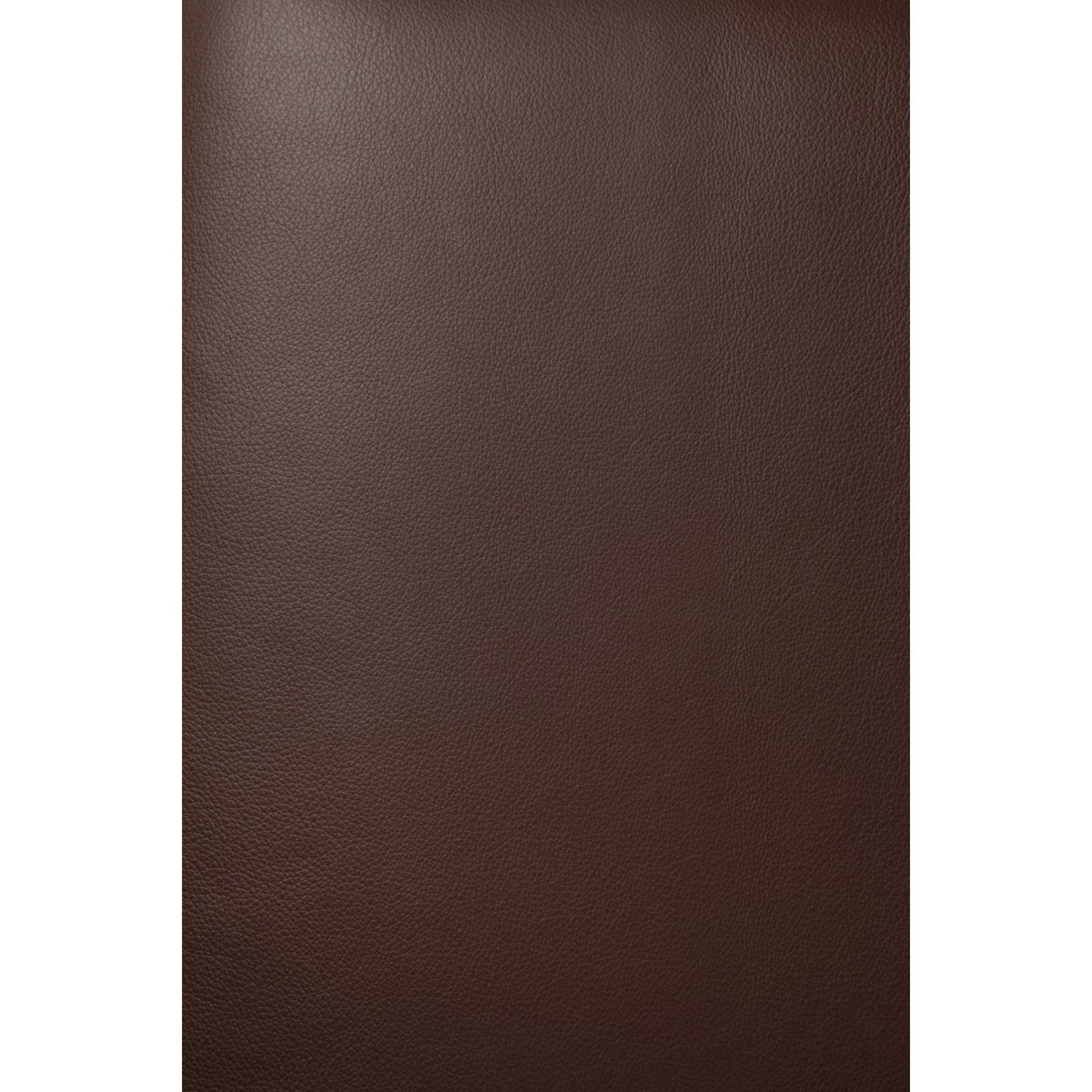 Brown Mahogany Lounge Chair | Ethnicraft Jack | Oroa.com