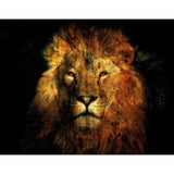 Lion's Law Jungle King Headshot photographic art print by Cobra Art