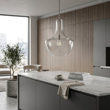 Modern European furniture - Clear Glass Silver Pendant Light - www.oroa.com