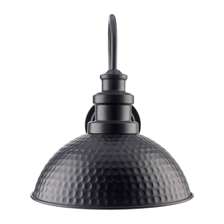 Modern European furniture - Black Iron Wall Lamp - www.oroa.com