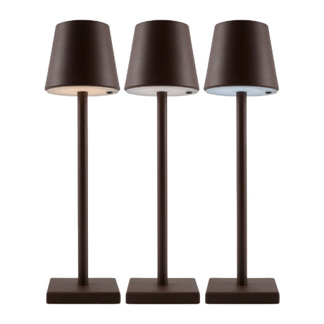 Modern European furniture - Brown Iron Accent Table Lamp - www.oroa.com