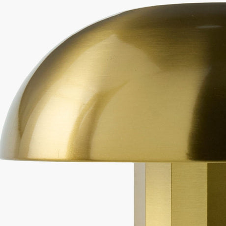 Modern European furniture - Iron Dome Table Lamp - www.oroa.com