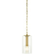 Modern European furniture - Clear Glass Accent Pendant Light - www.oroa.com