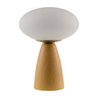 Modern European furniture - Oval White Glass Table Lamp - www.oroa.com