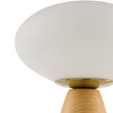 Modern European furniture - Oval White Glass Table Lamp - www.oroa.com