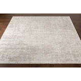 Modern European furniture - Gray Viscose Blend Carpet - www.oroa.com