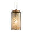 Modern European furniture - Silver Glass Pendant Light - www.oroa.com