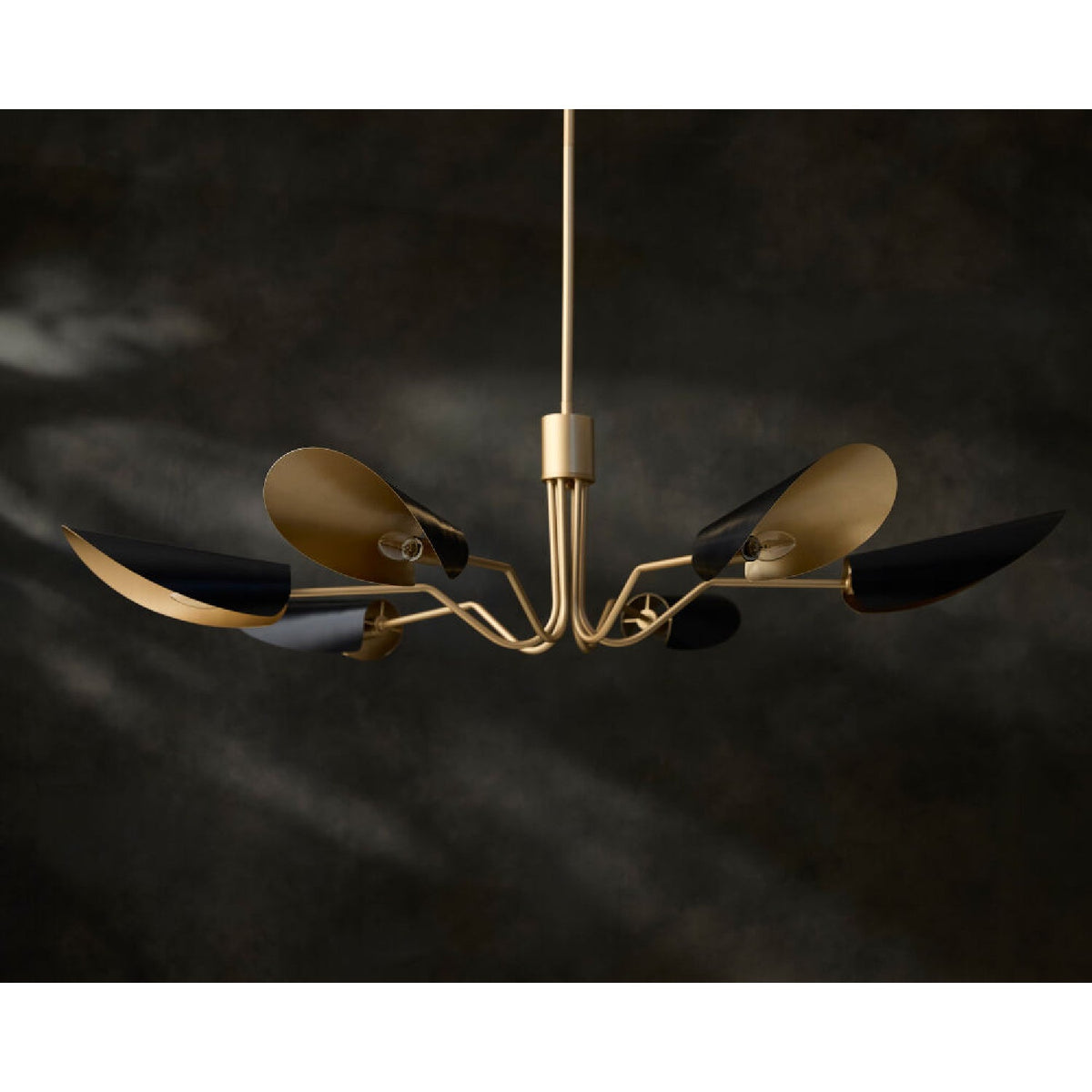 Modern European furniture - Black Metal Shades 6-Light Chandelier - www.oroa.com 