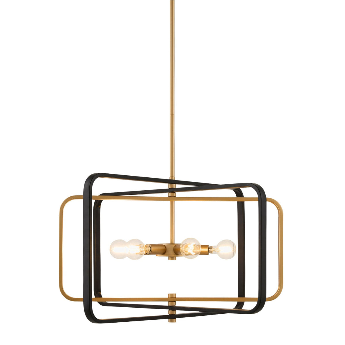 Modern European furniture - Iron Framed Chandelier - www.oroa.com