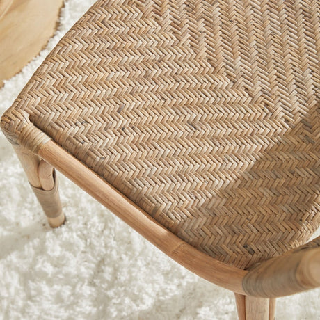 Modern European furniture - Matte Gray Dining Chairs (2) - www.oroa.com