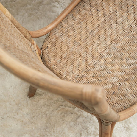 Modern European furniture - Matte Gray Dining Chairs (2) - www.oroa.com