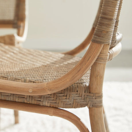 Modern European furniture - Matte Gray Dining Chairs (2) - www.oroa.com