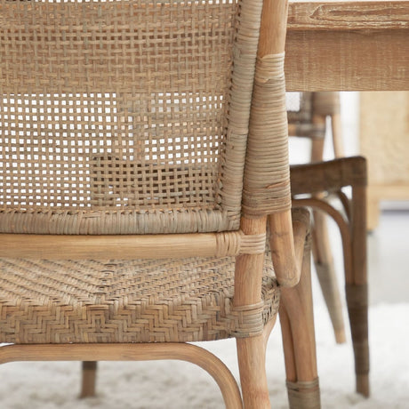 Modern European furniture - Matte Gray Dining Chairs (2) - www.oroa.com