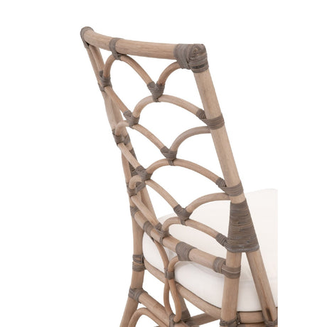 Modern European furniture - Matte Gray Rattan Dining Chairs (2) - www.oroa.com