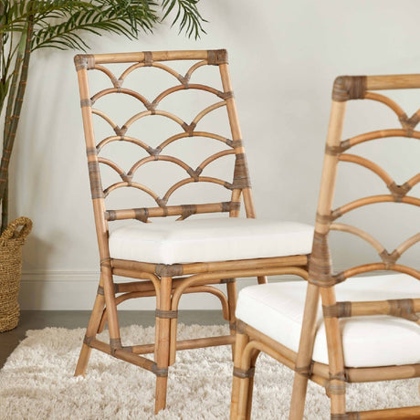 Modern European furniture - Matte Gray Rattan Dining Chairs (2) - www.oroa.com