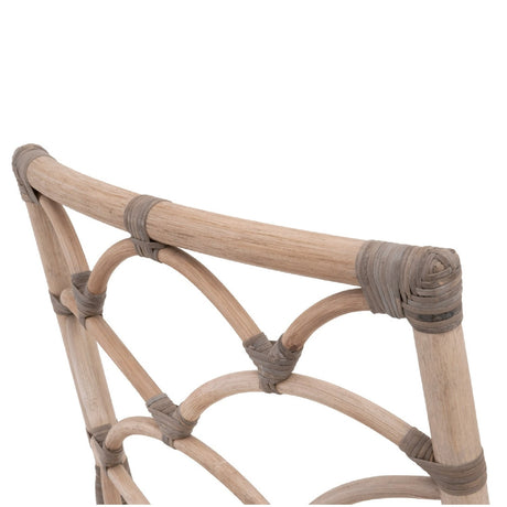 Modern European furniture - Matte Gray Rattan Dining Chairs (2) - www.oroa.com