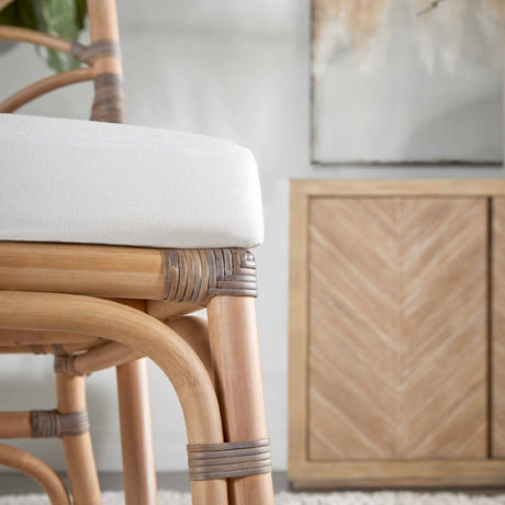 Modern European furniture - Matte Gray Rattan Dining Chairs (2) - www.oroa.com