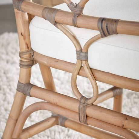 Modern European furniture - Matte Gray Rattan Dining Chairs (2) - www.oroa.com