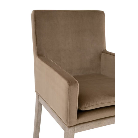 Modern European furniture - Brown Velvet Dining Armchair - www.oroa.com