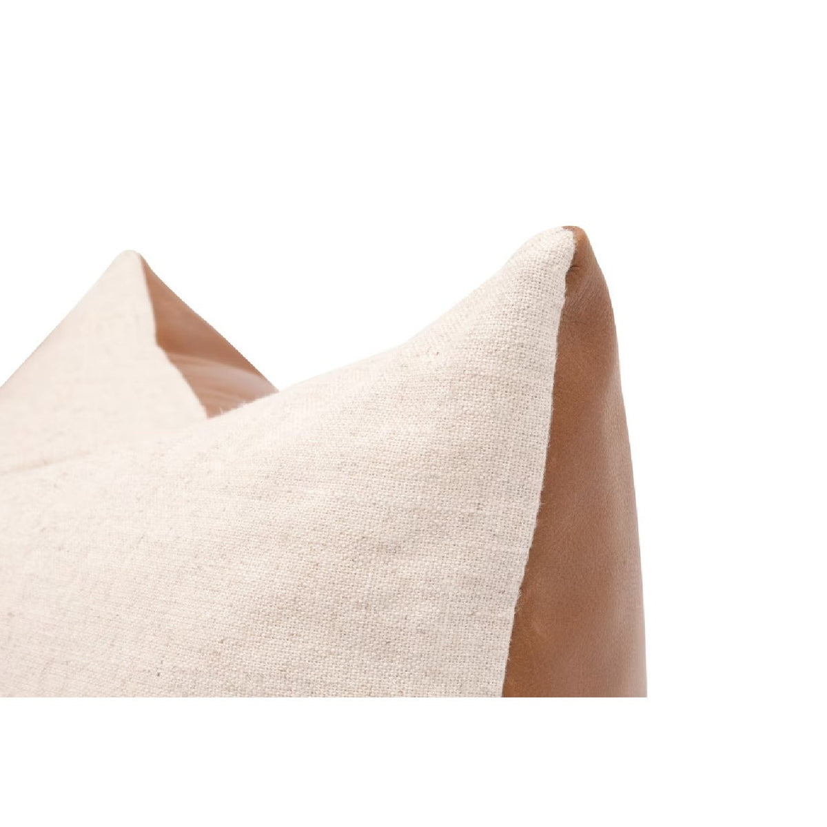 Modern European furniture - Brown Leather Pillows (2) - www.oroa.com