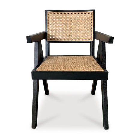 Modern European furniture - Rattan Mid-Century Dining Chairs (2) - www.oroa.com