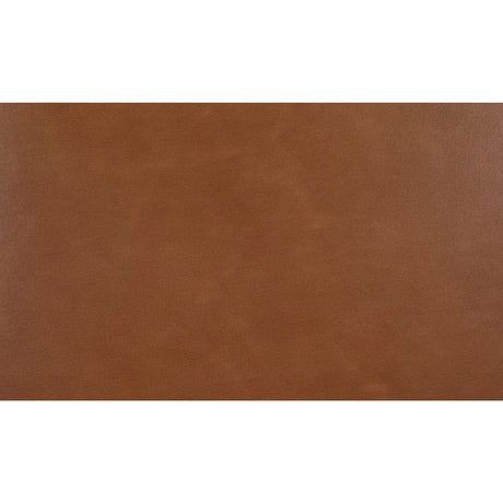 Modern European furniture - Brown Leather Dining Chair - www.oroa.com