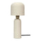 Modern European furniture - Modern Iron Table Lamp - www.oroa.com