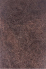 Modern European furniture - Brown Leather Club Chair - www.oroa.com