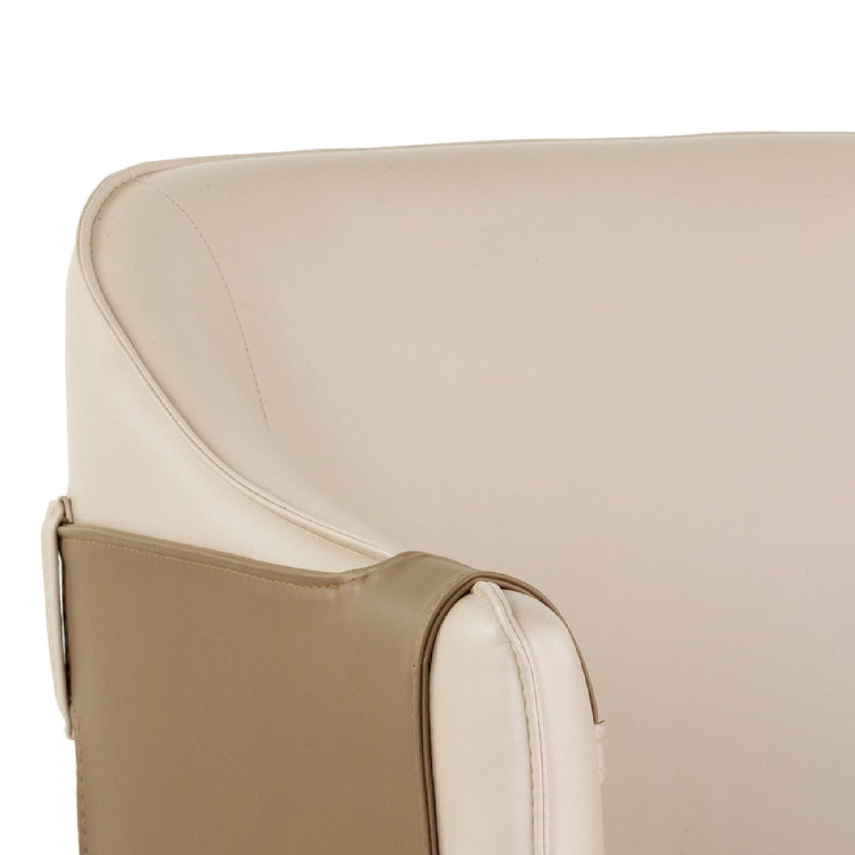 Two-Toned Leather Lounge Chair by Splendido Carter Accent Chair, alternate view 7