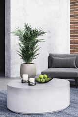 Minimalist Concrete Outdoor Coffee Table by Splendido Perfetti, alternate view 7