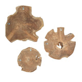 Bleached Teak Indoor/Outdoor Wall Decor (3) | Uttermost Kalani - www.oroa.com